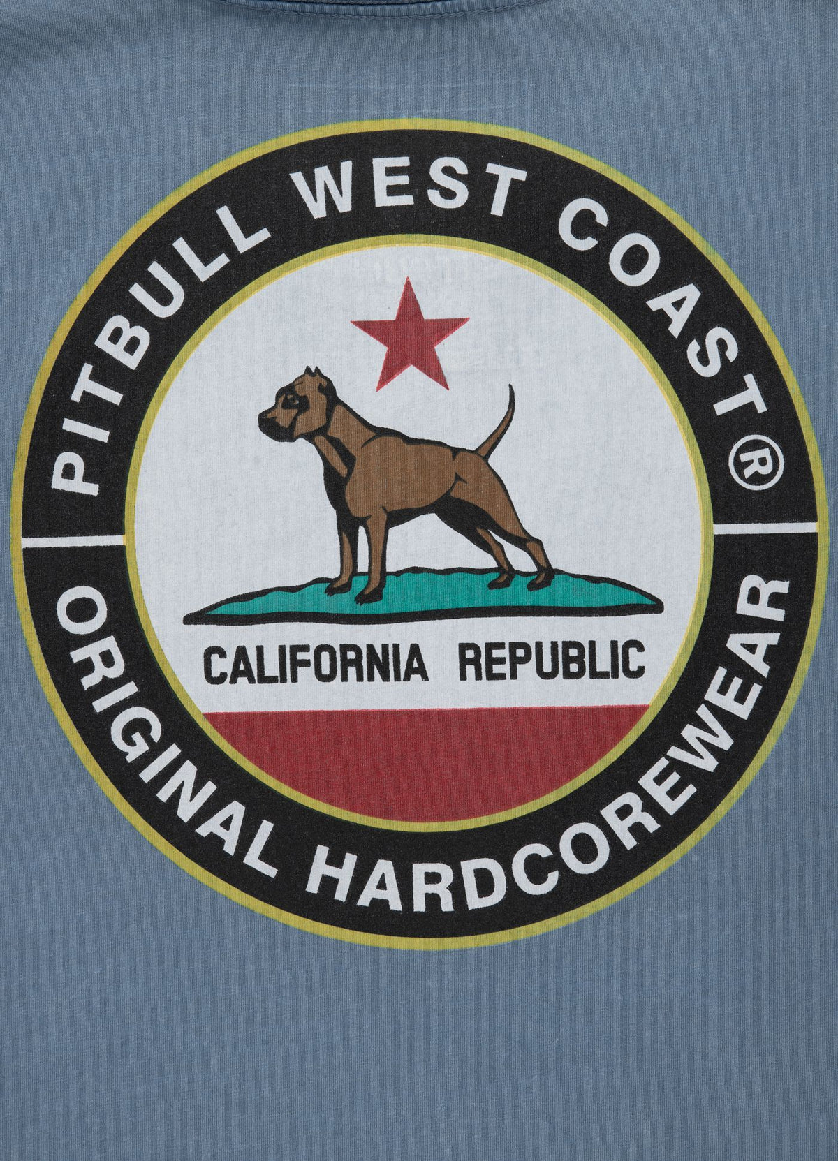 T-Shirt Mittelgewicht CALIFORNIA DOG Hellblau