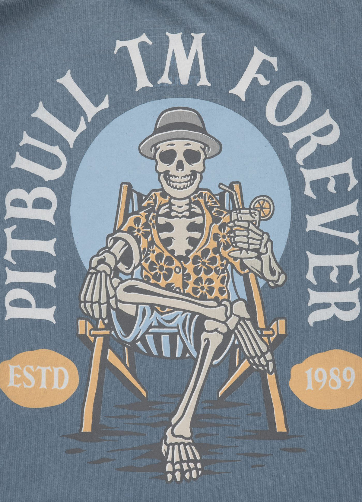 T-Shirt Mittelgewicht PITBULL FOREVER Hellblau