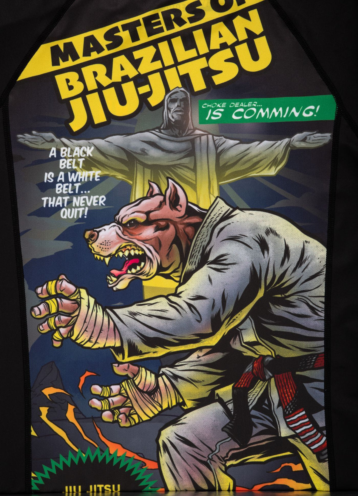 Langarm-Rashguard Masters Of BJJ