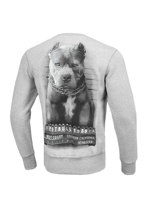 Sweatshirt Mugshot - Grau