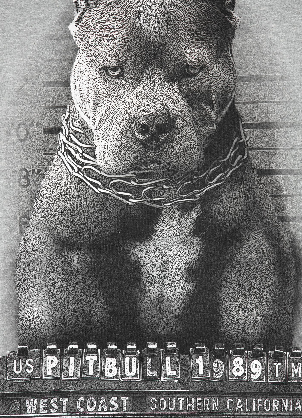 Sweatshirt Mugshot - Grau
