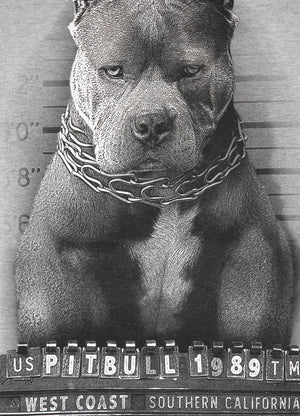 Sweatshirt Mugshot - Grau