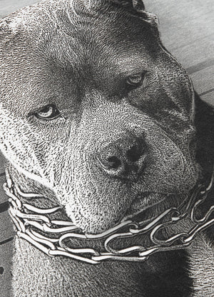 Sweatshirt Mugshot - Grau