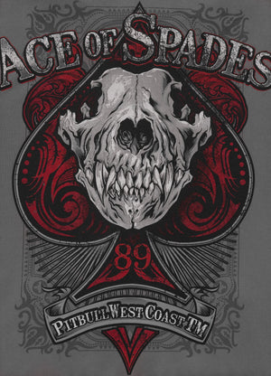 Herren Kapuzenjacke mit Reißverschluss Washed ACE OF SPADES - Grau