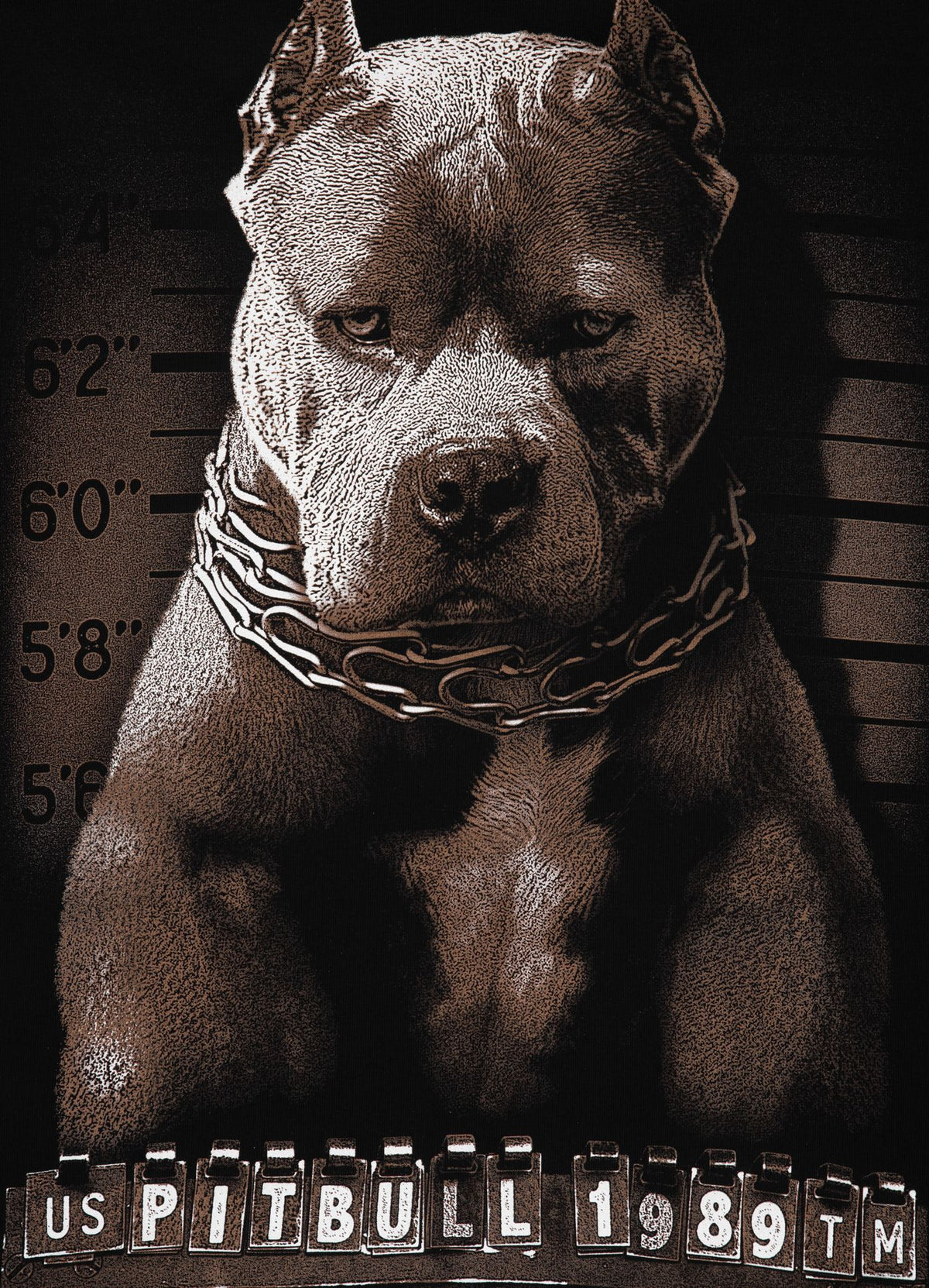 Hoodie Mugshot - Schwarz