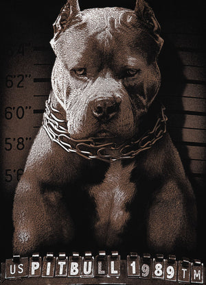 Hoodie Mugshot - Schwarz