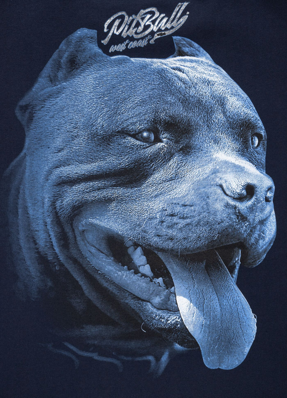 Hoodie Red Nose II - Pitbull.eu