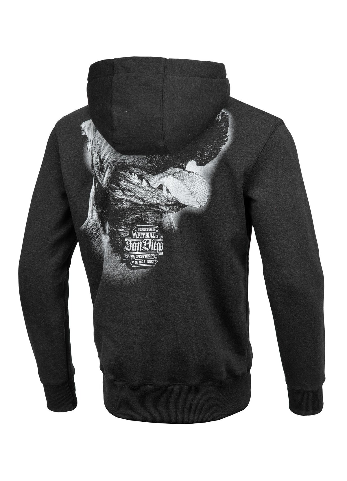 Hoodie SAN DIEGO IV Anthrazit