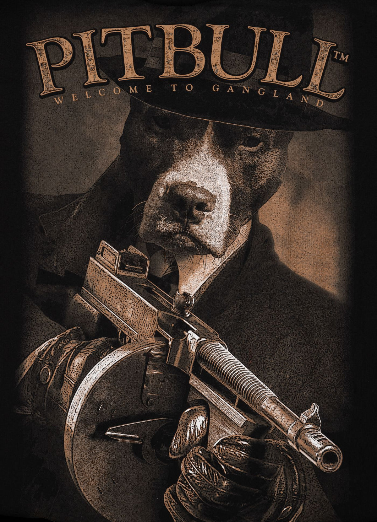 Hoodie Tommy - Pitbull.eu