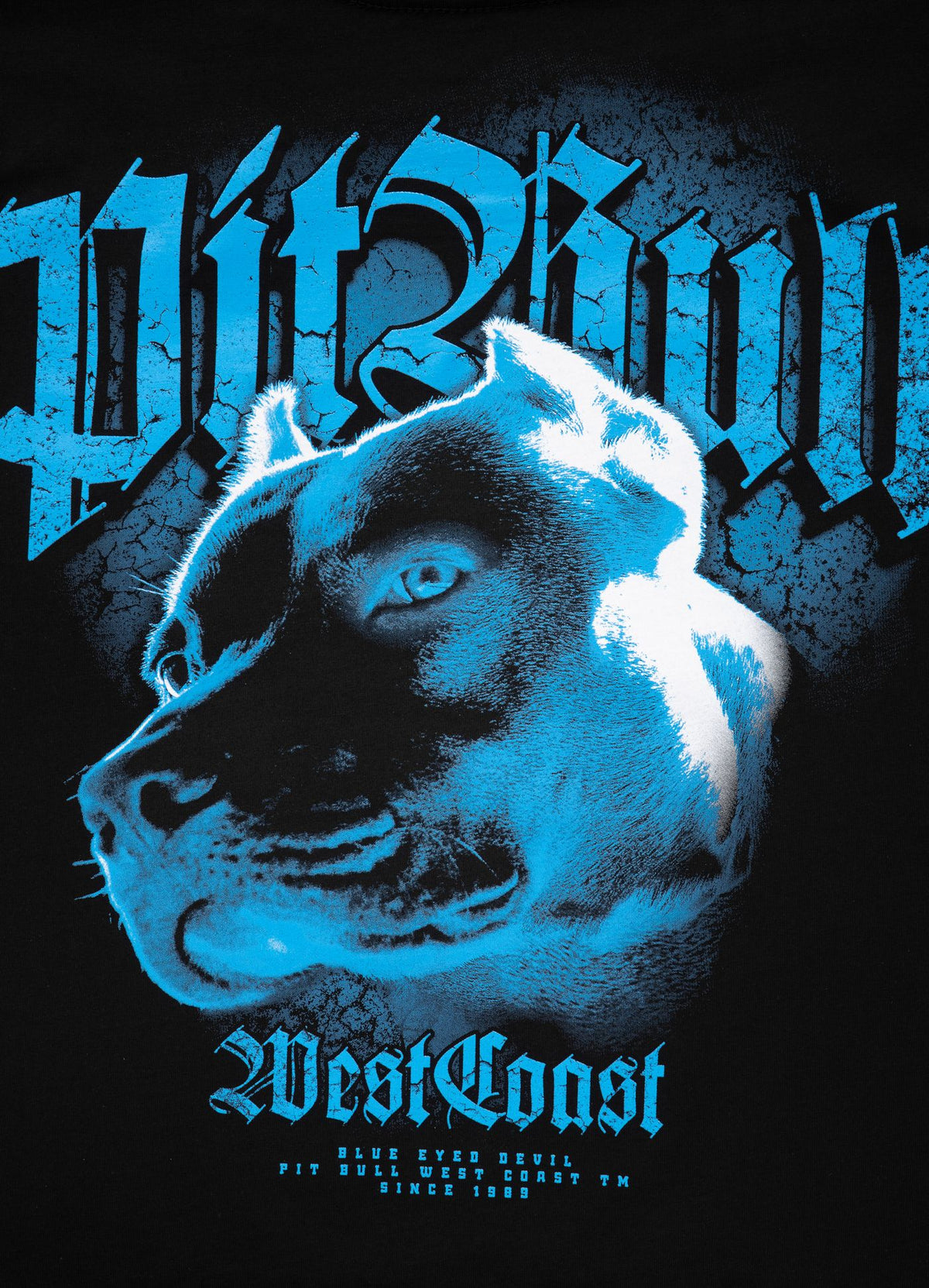 T-Shirt Blauäugiger Teufel VI