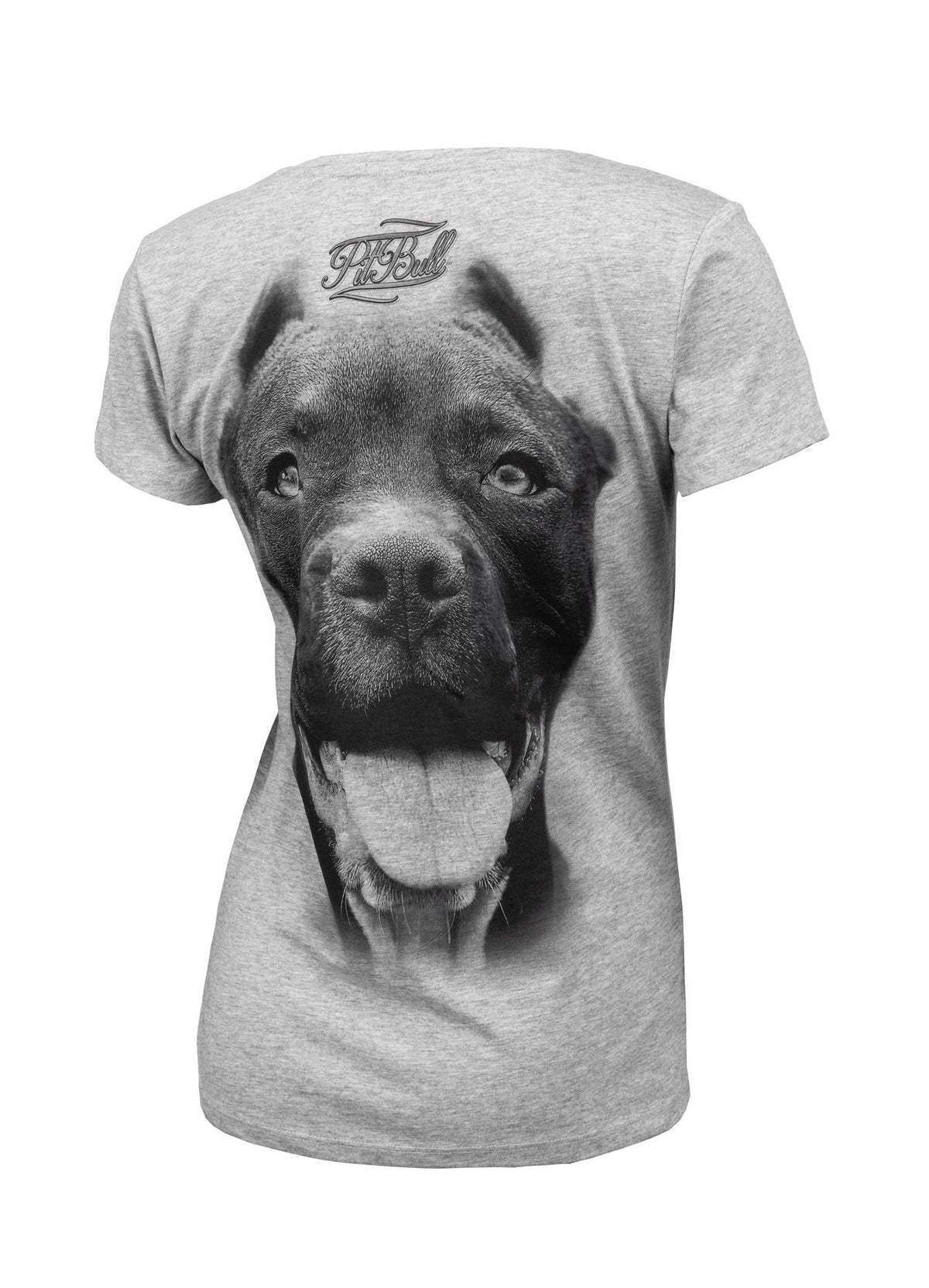 Damen T-Shirt PITBULL IR Grau Melange