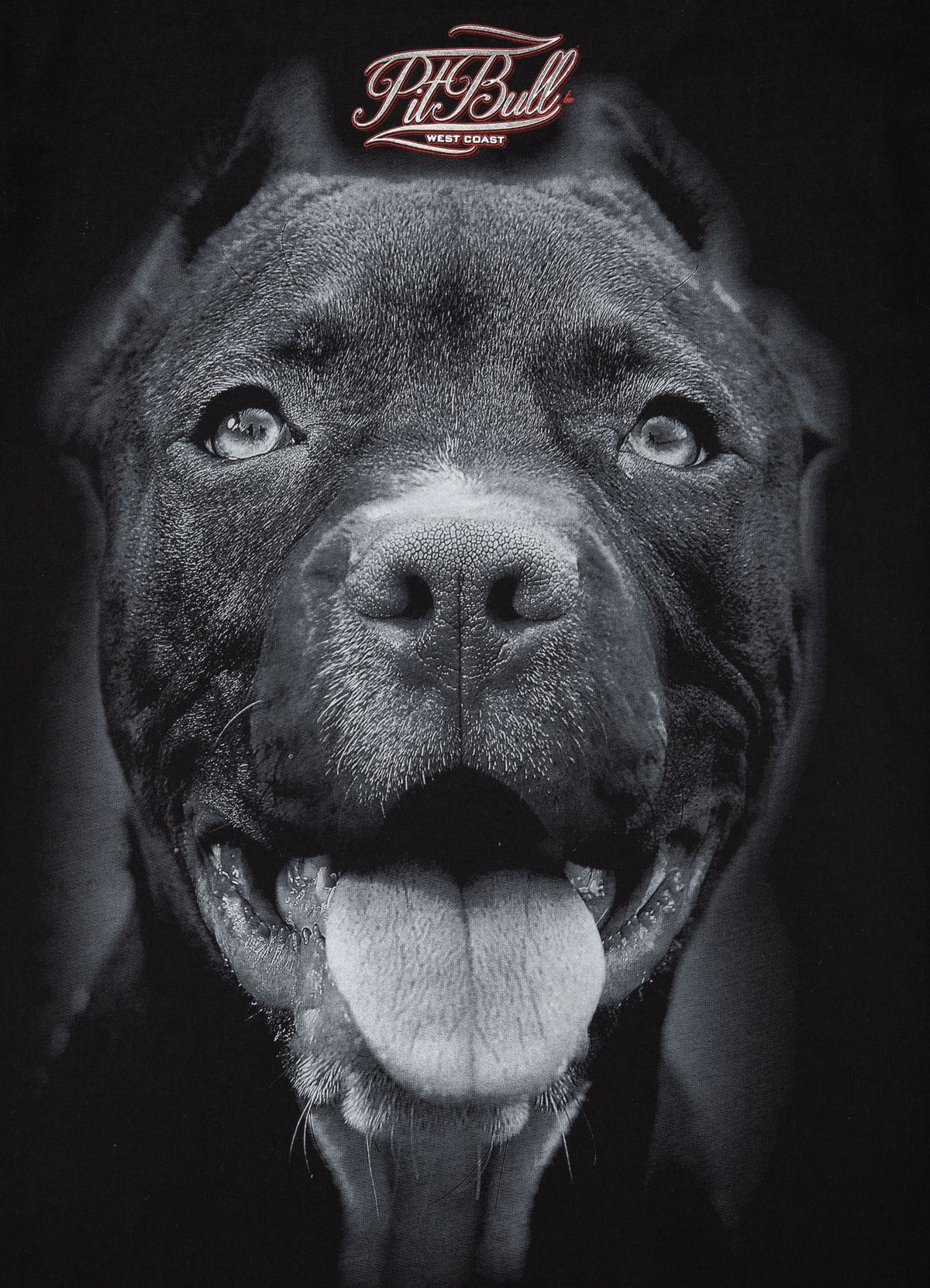 Pitbull IR Damen T-Shirt