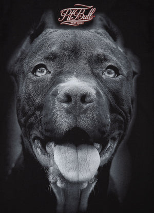 Pitbull IR Damen T-Shirt