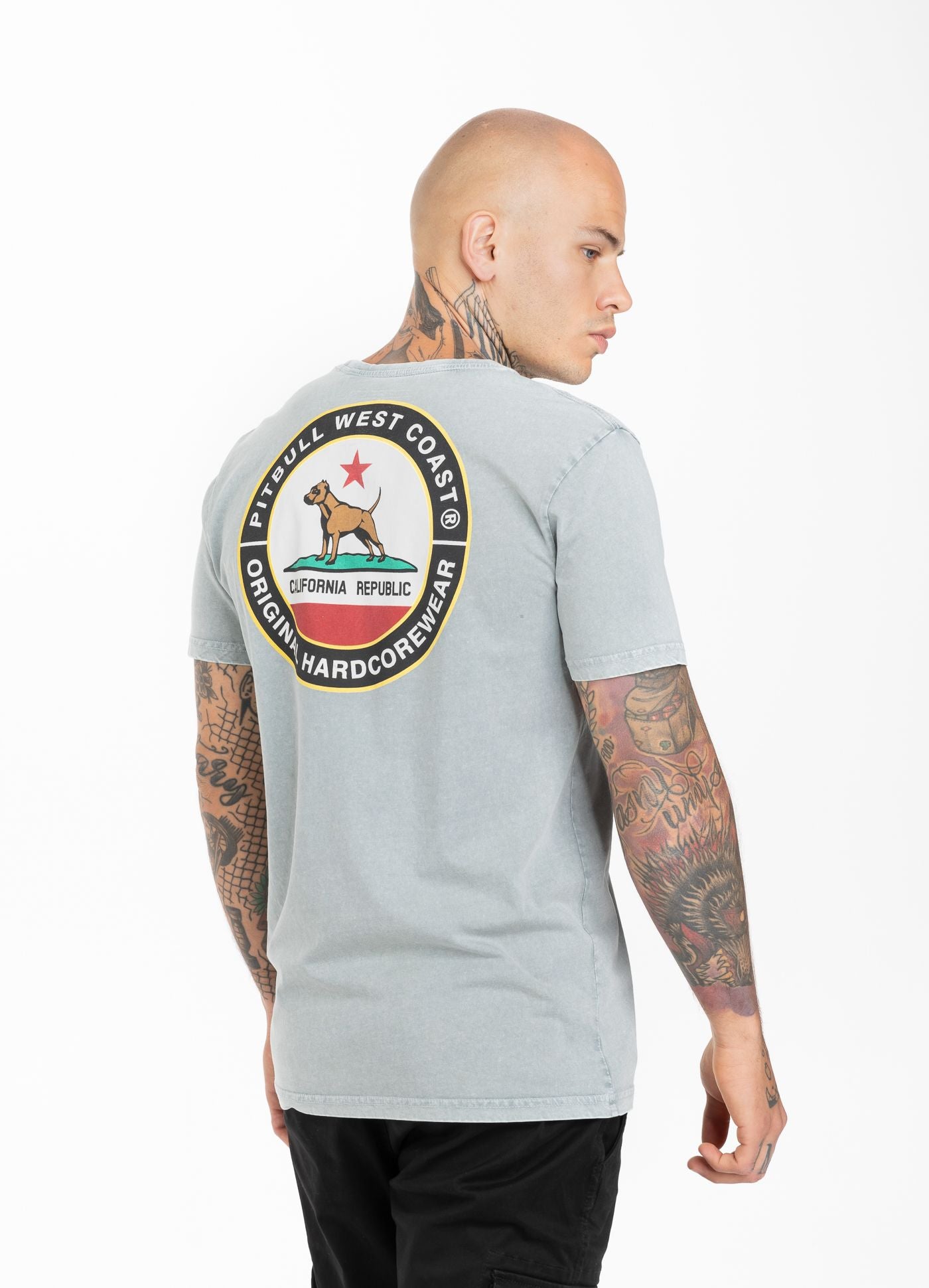 T-Shirt Mittelgewicht CALIFORNIA DOG Grau