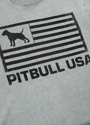 T-Shirt PITBULL USA Grau