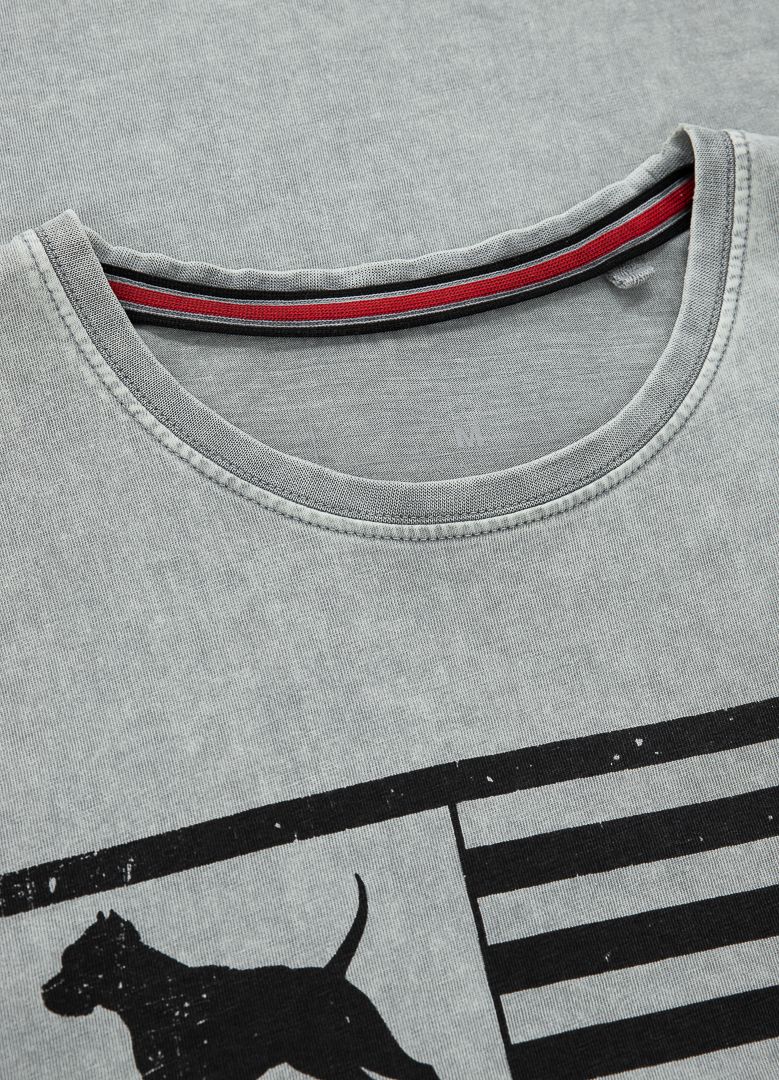 T-Shirt PITBULL USA Grau