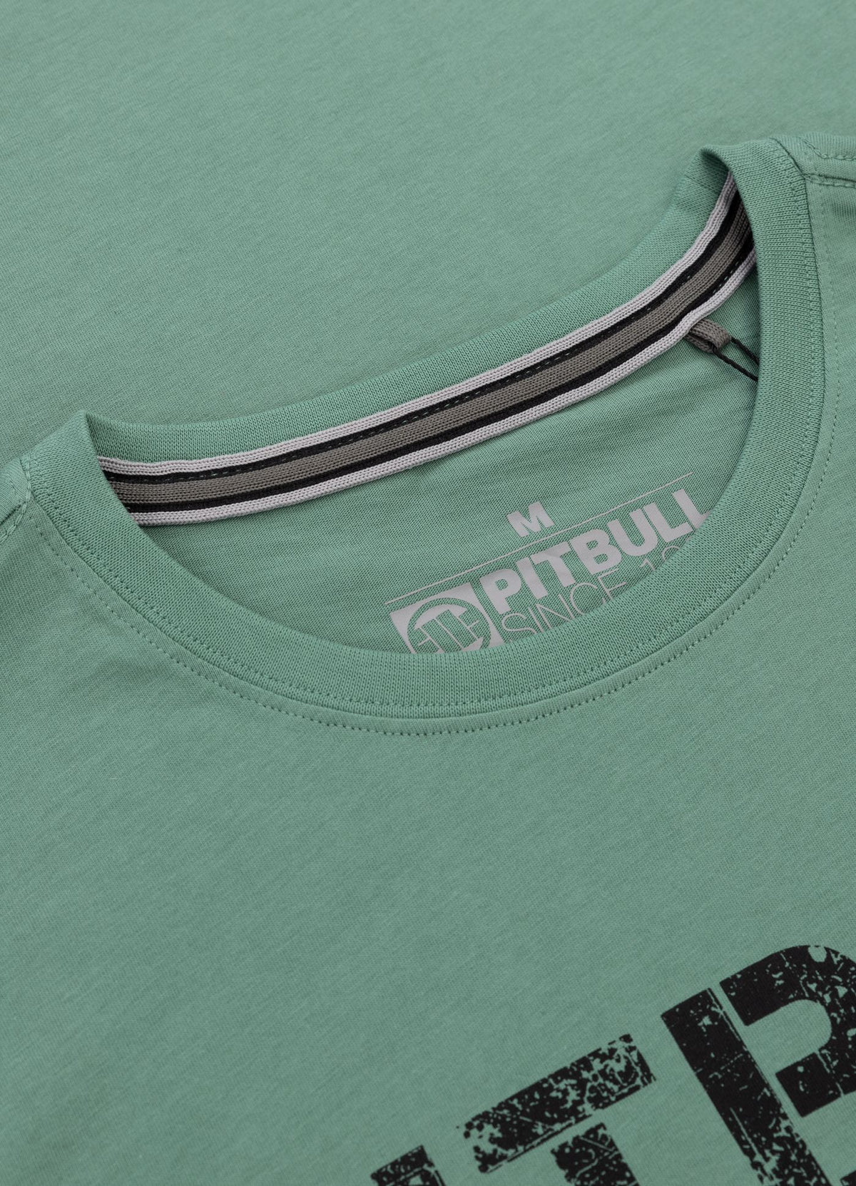 T-Shirt Drive - Mint