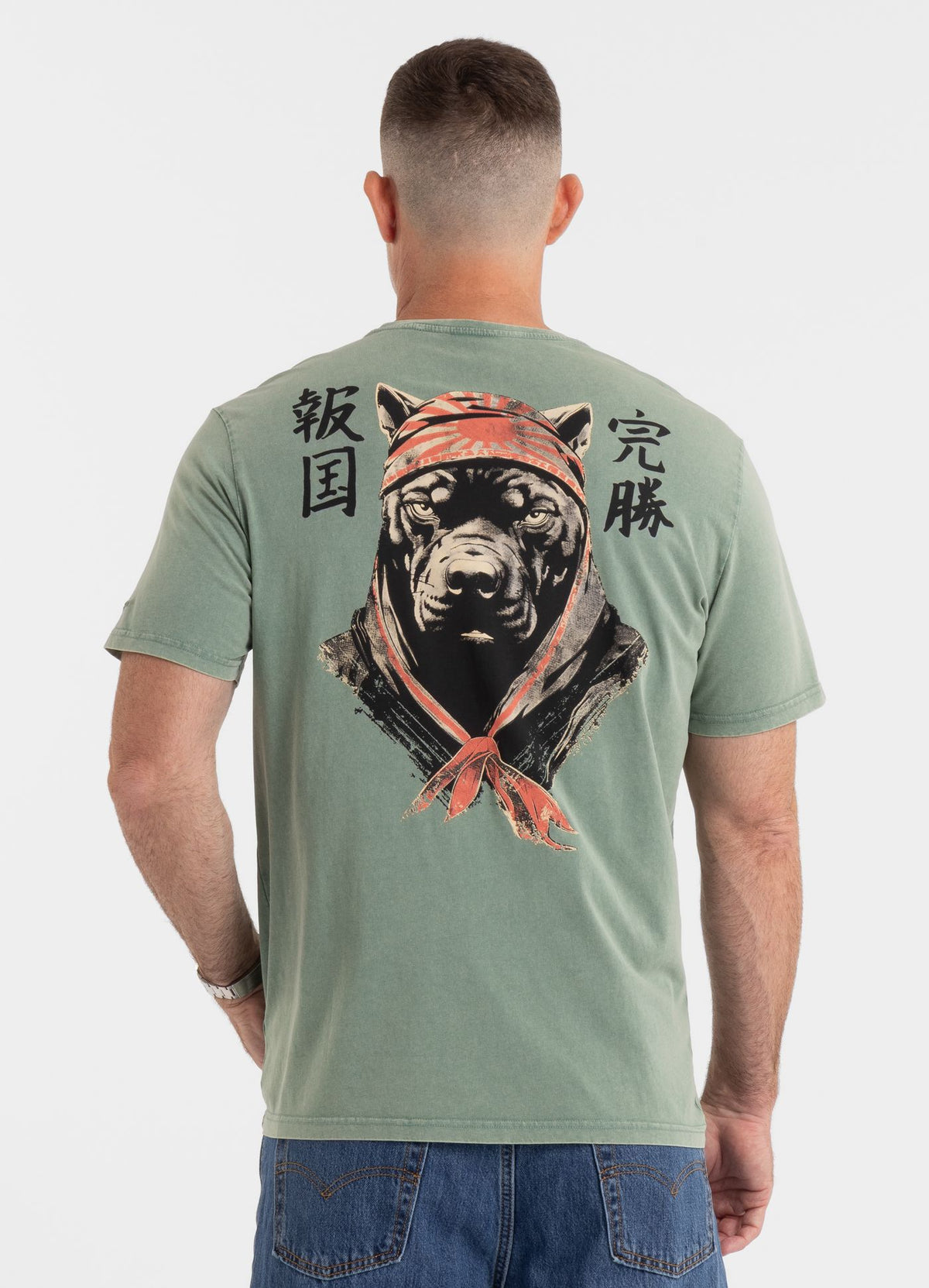 Herren T-Shirt Denim Washed BRAVERY - Grün