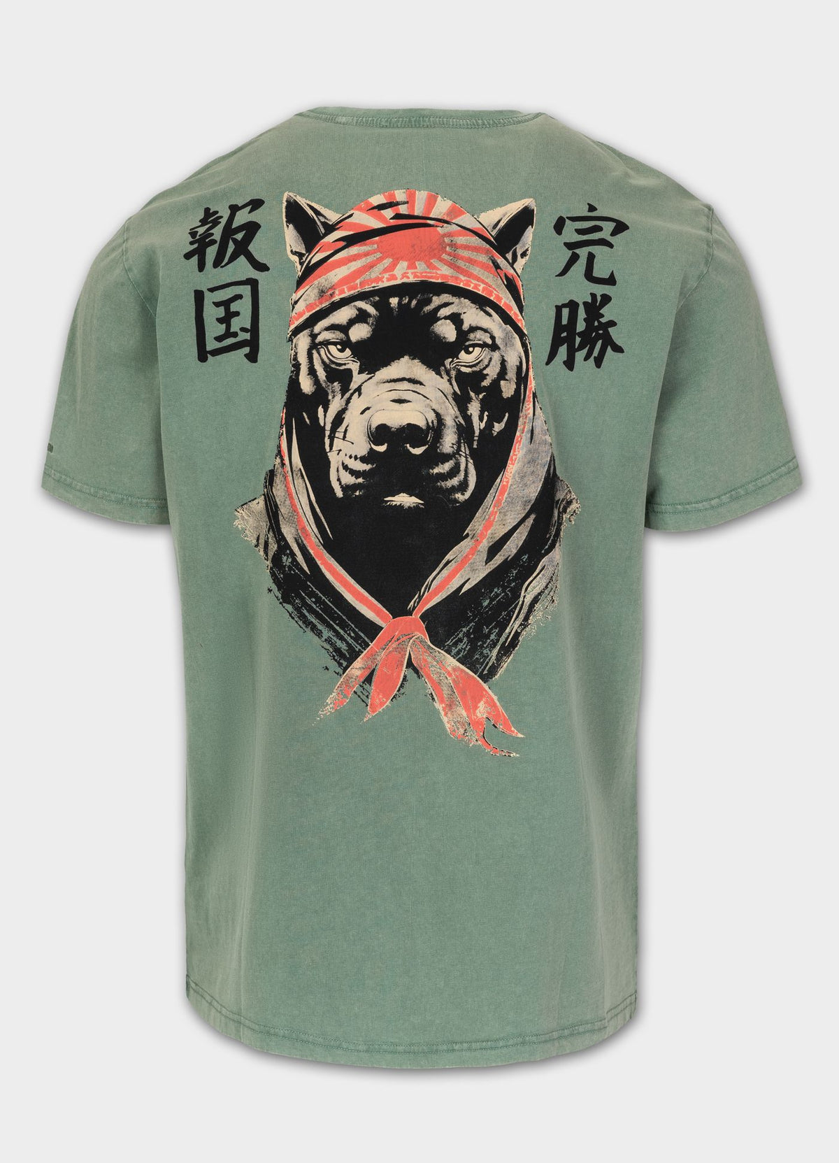 Men's T-Shirt Denim Washed BRAVERY - Green