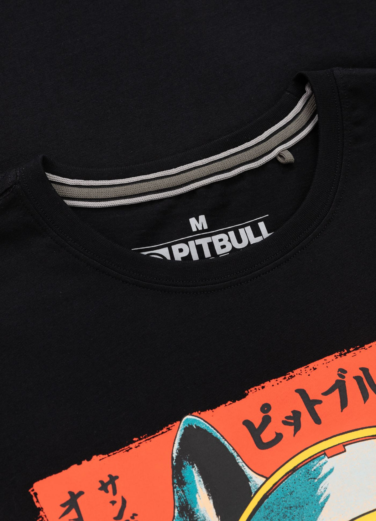 Men's T-Shirt FUJI - Black