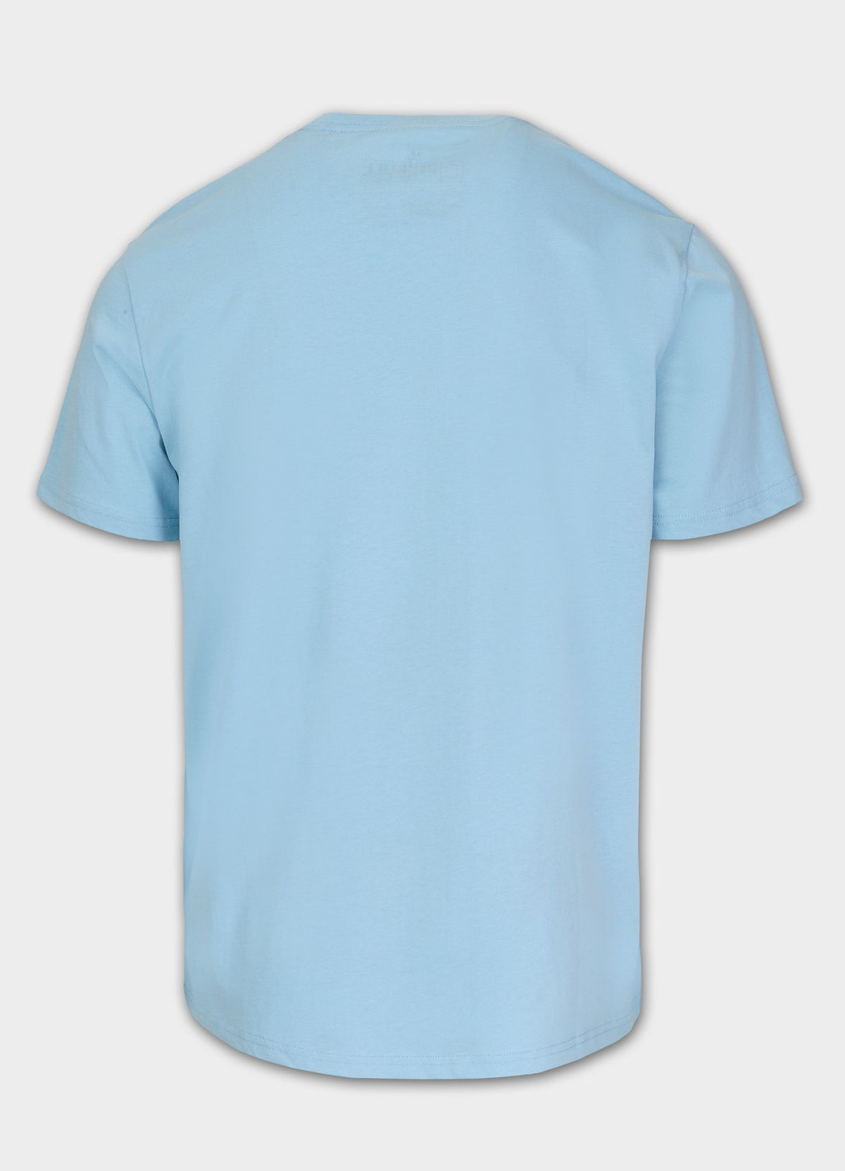 Herren T-Shirt PALMS - Hellblau