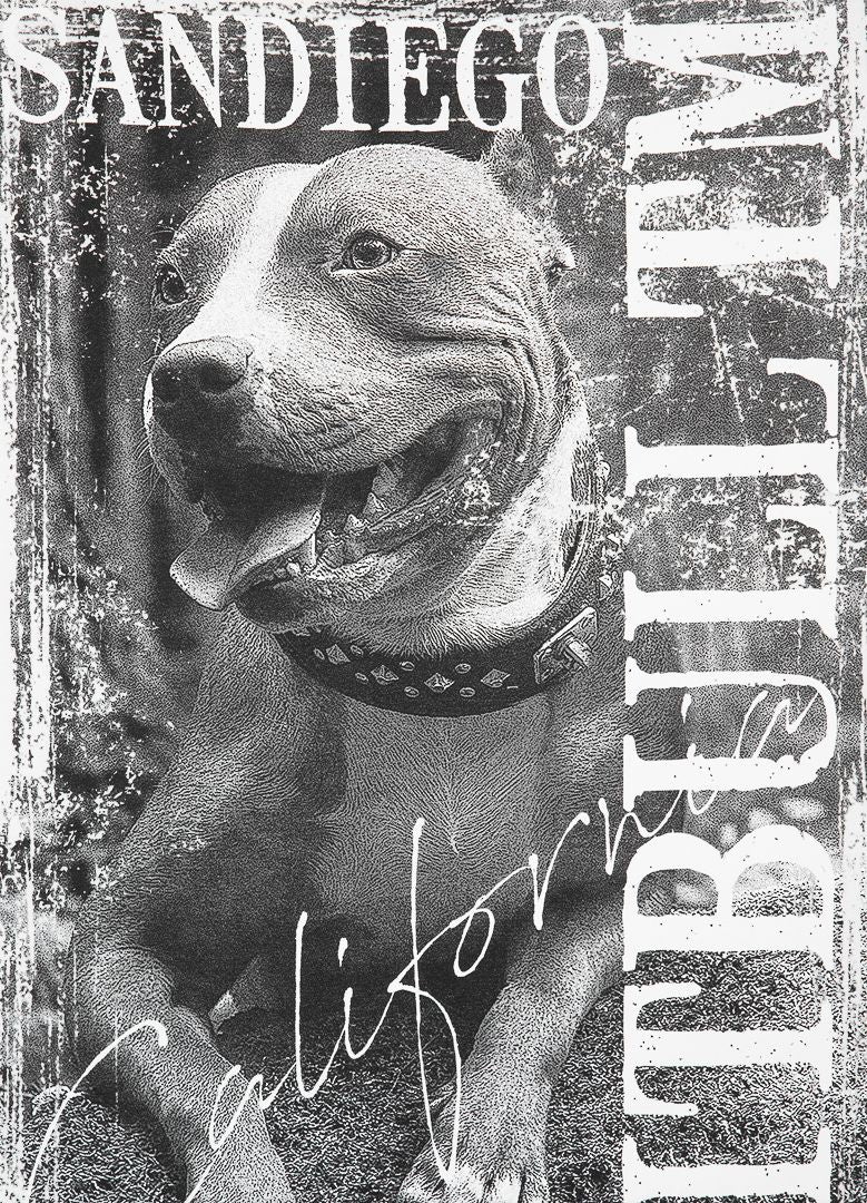 T-Shirt PLAKAT Weiß