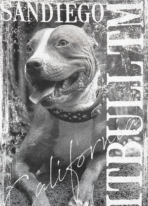 T-Shirt PLAKAT Weiß