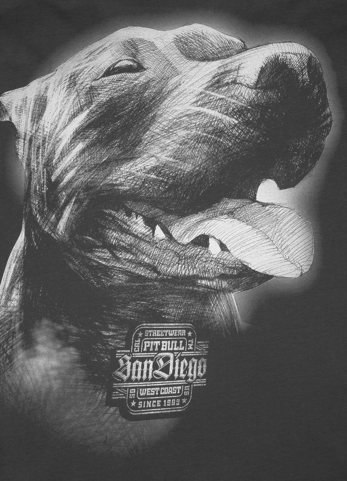 T-Shirt San Diego IV