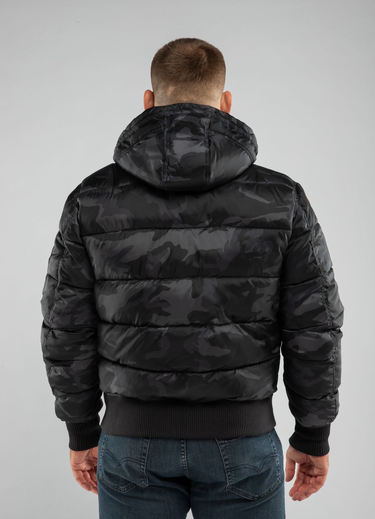 Winter Jacket Topside - Pitbull.eu