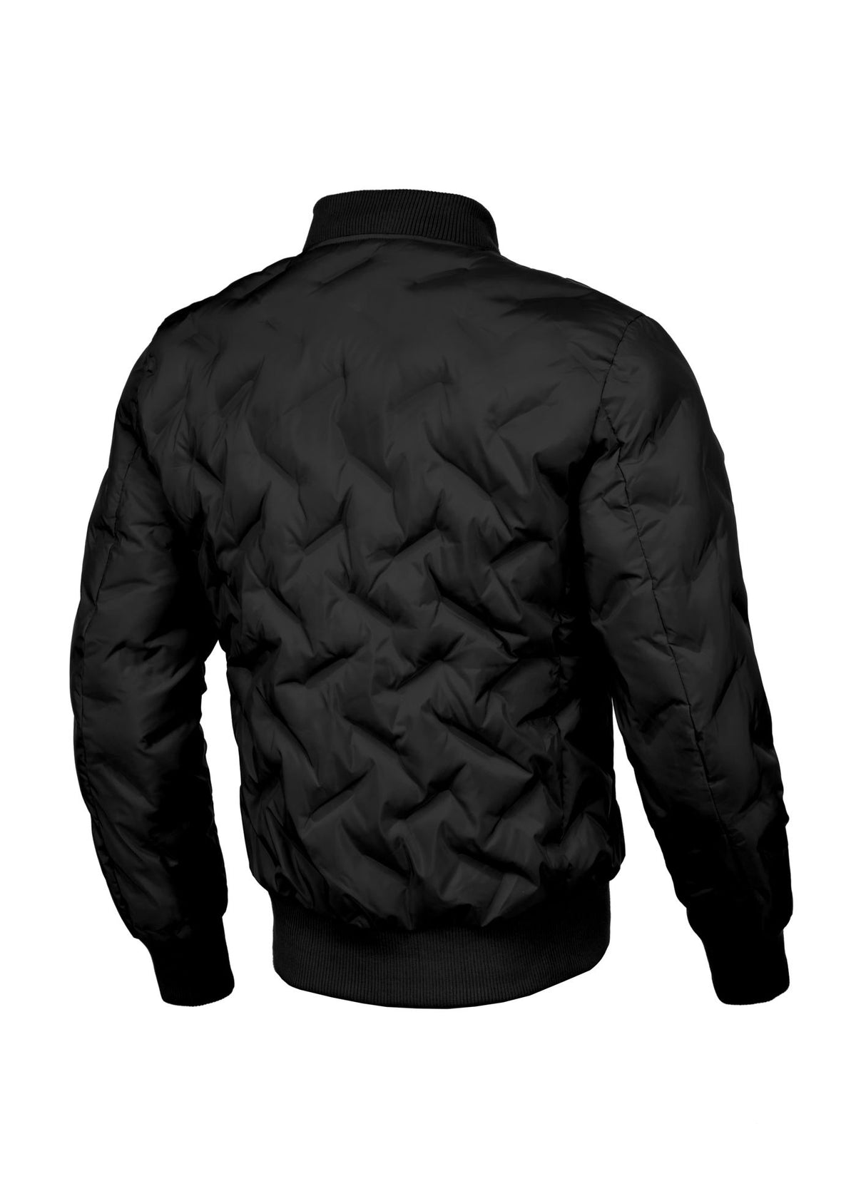 Men's winter jacket Winchester - Pitbull.eu