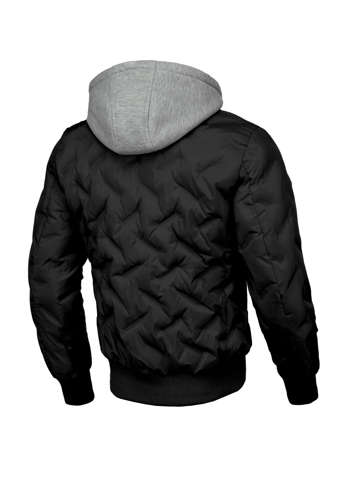 Men's winter jacket Winchester - Pitbull.eu