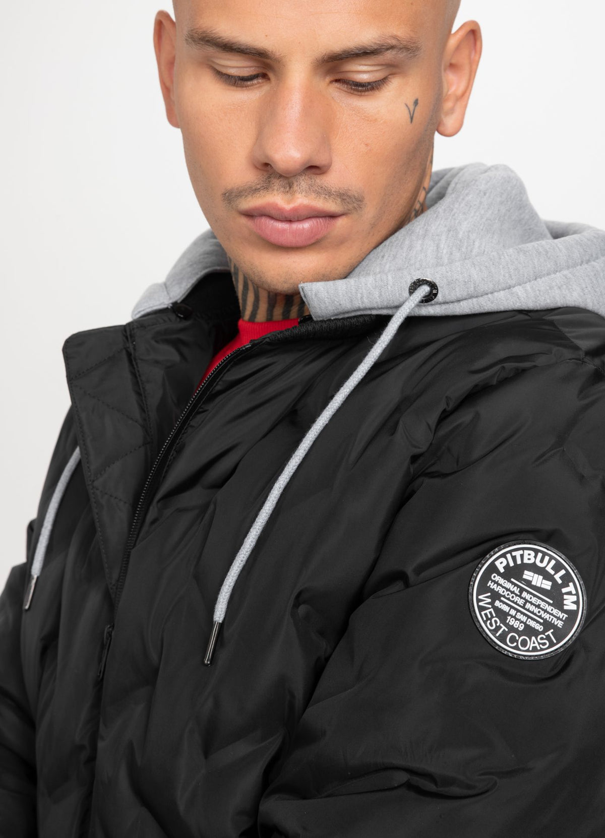 Men's winter jacket Winchester - Pitbull.eu