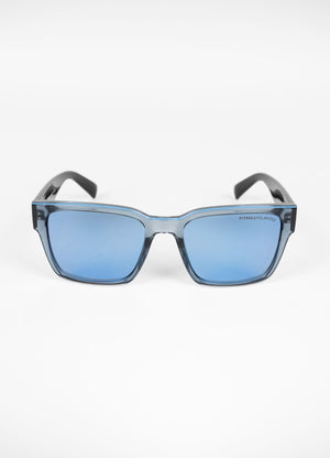 Sunglasses KINGSTON