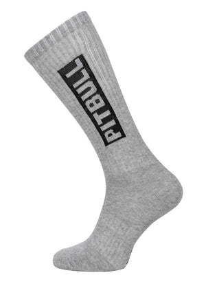 Dünne Socken High Crew Pitbull 3er-Pack - Grau