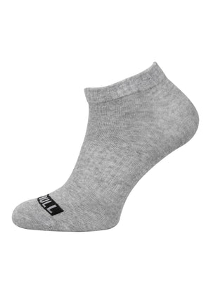 Dünne Socken Pad Pitbull 3er-Pack - Grau