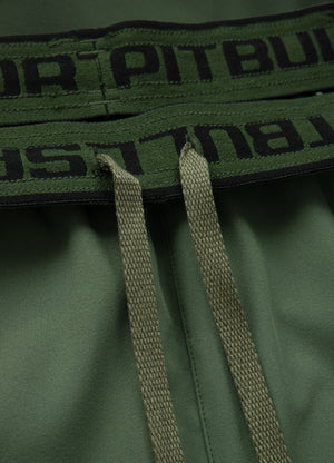 Sportshorts Performance Pro plus Small Logo II - Olivgrün