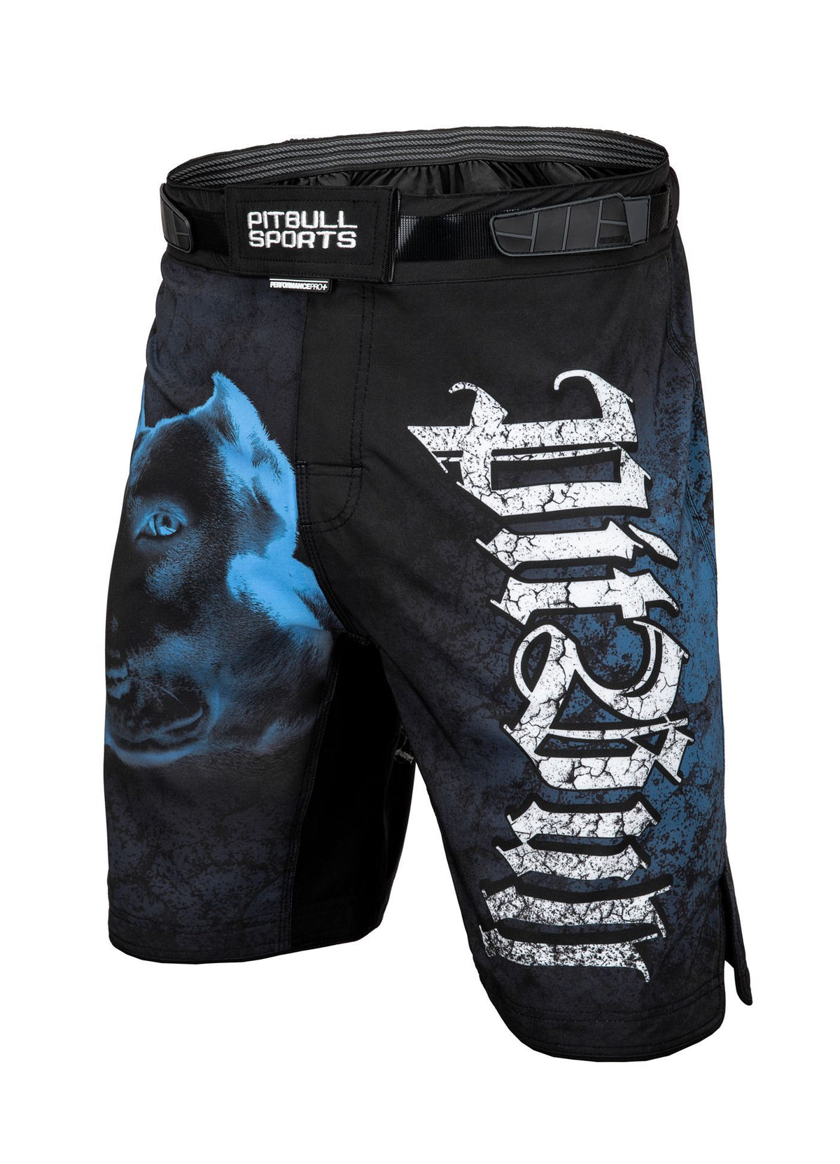 Fight Shorts BED IV