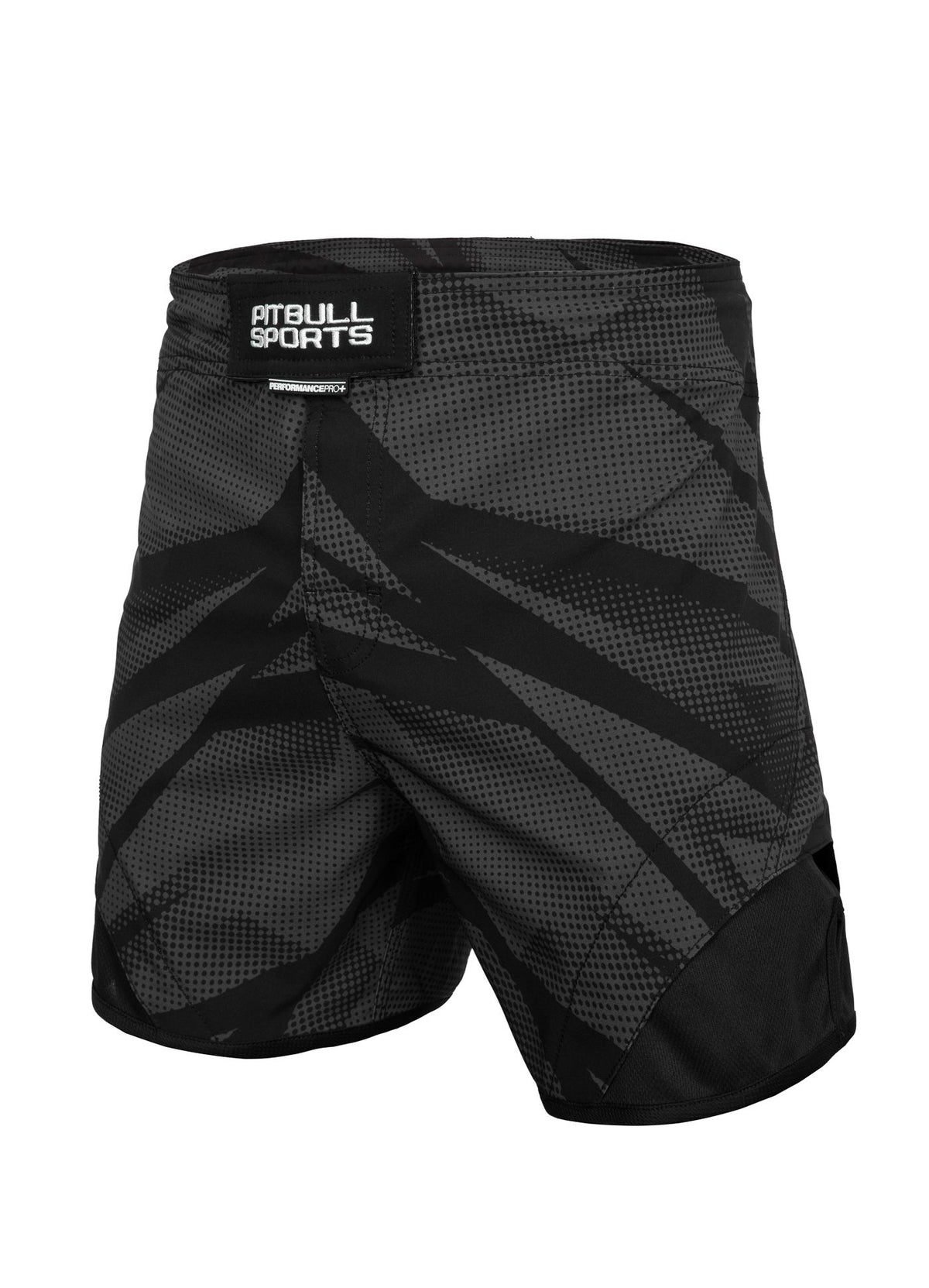 Trainingsshorts Jet Mesh Performance Pro plus Dot Camo