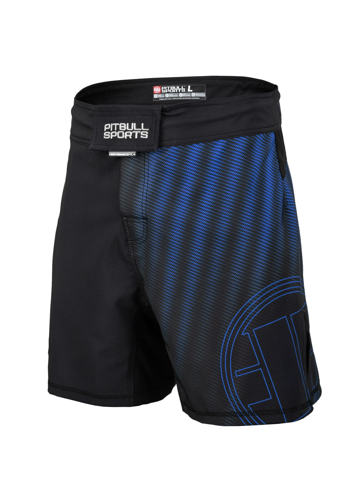 Grappling Shorts RASTER Blau