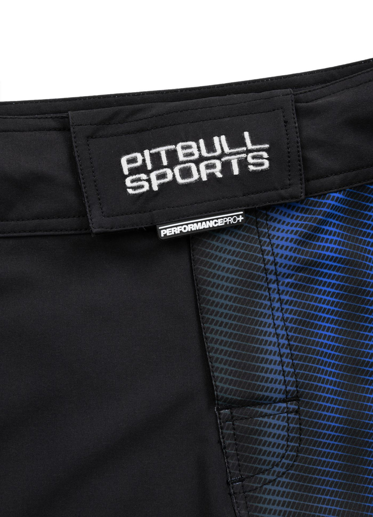 Grappling Shorts RASTER Blau