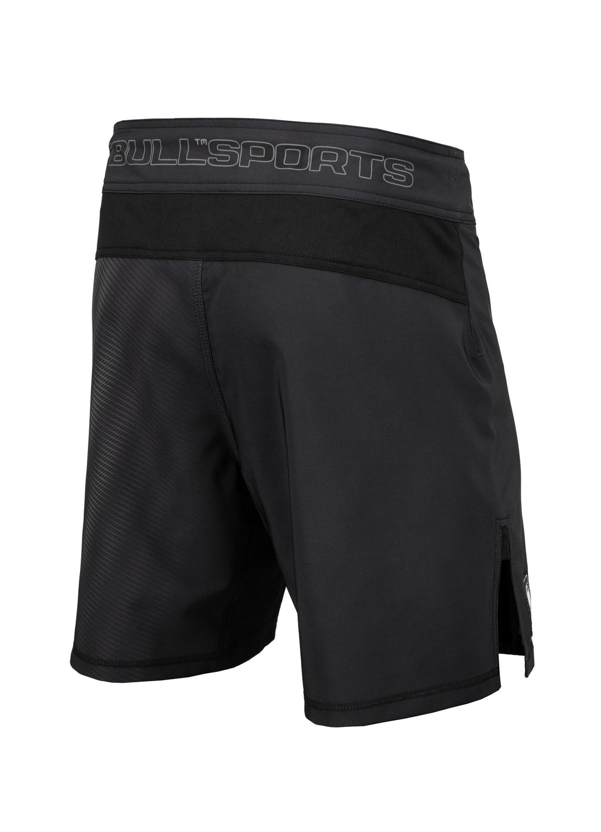 Grappling Shorts RASTER Grau