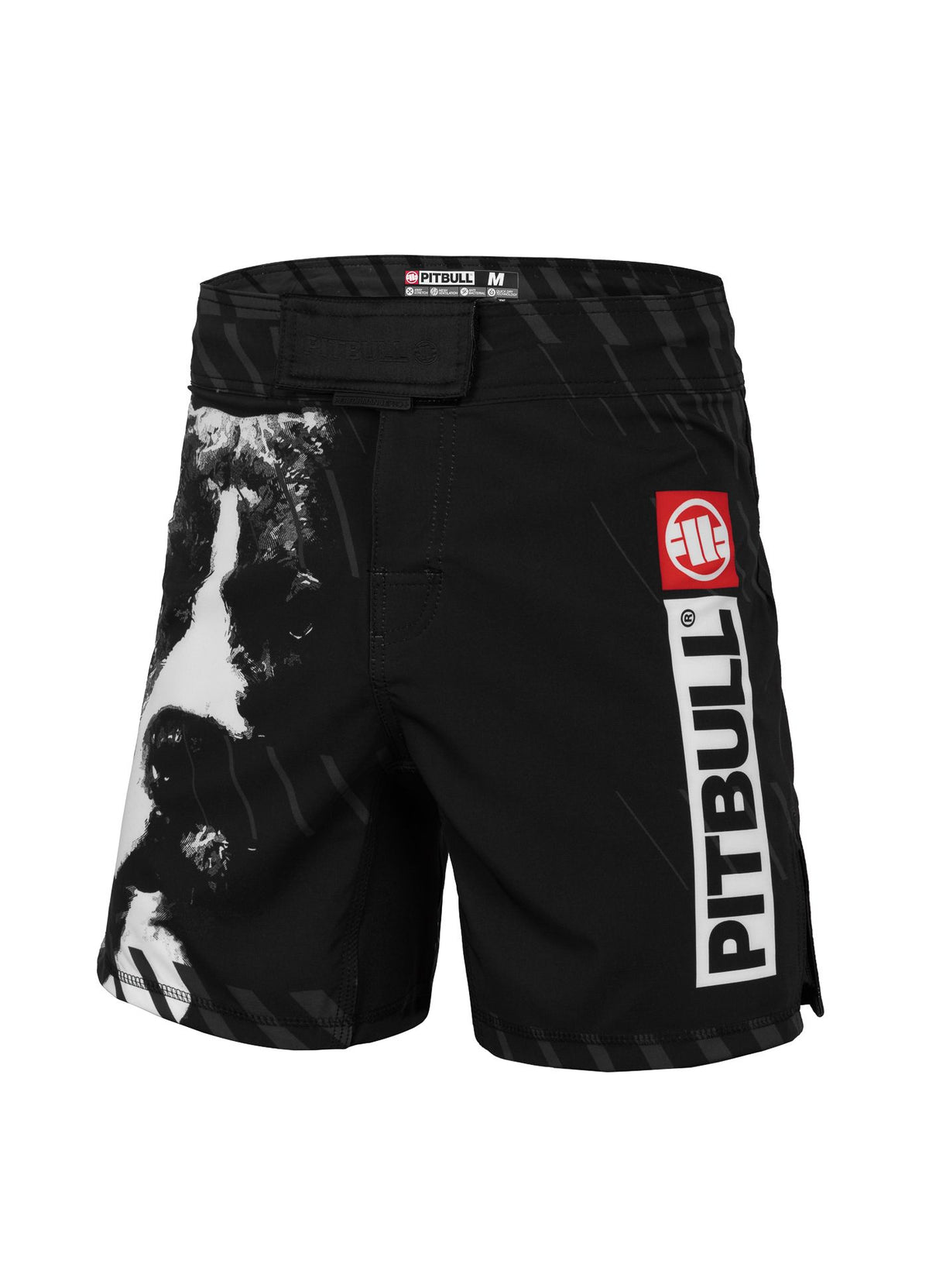 Trainingsshorts Street Dog - Schwarz