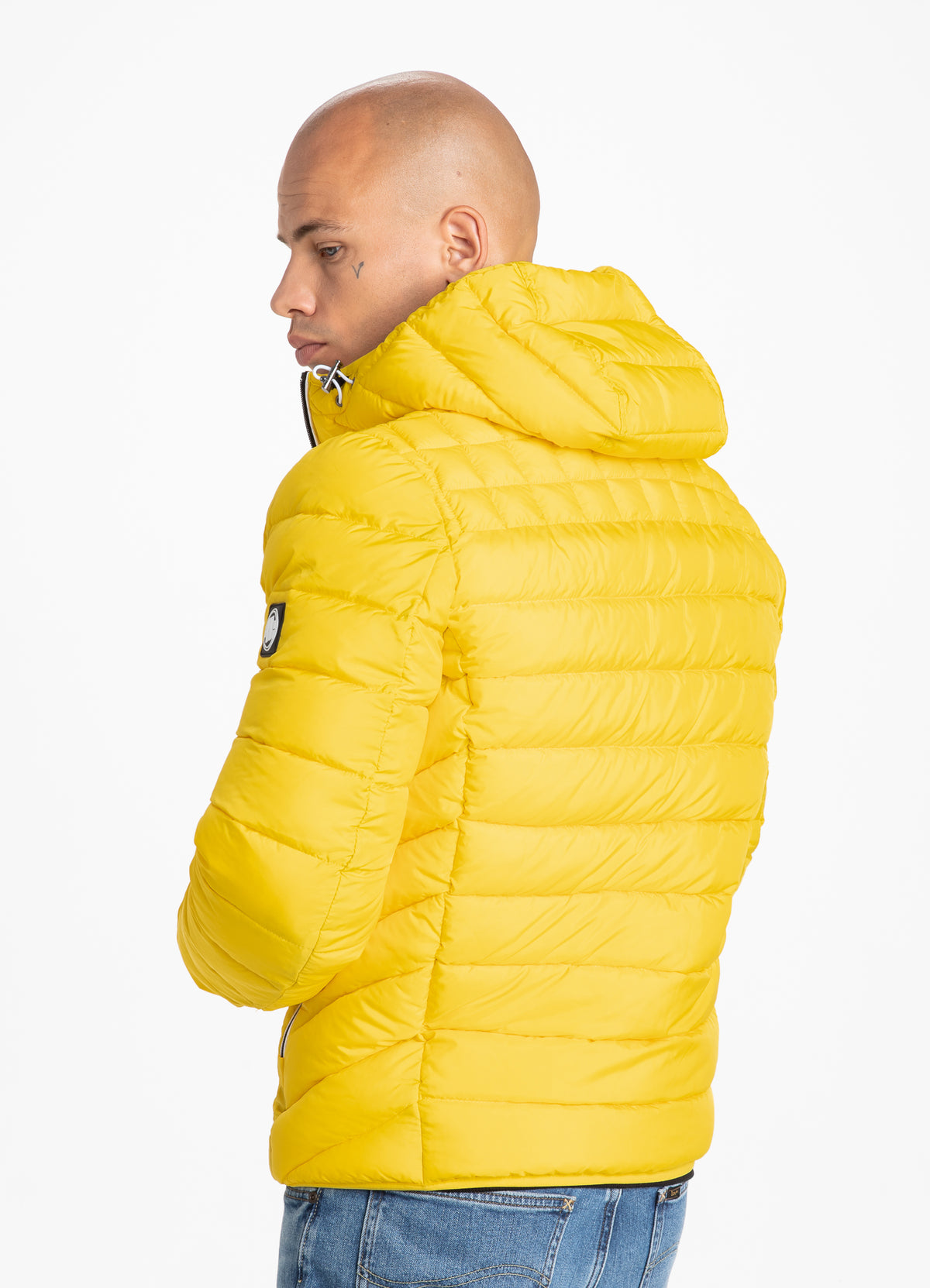 Padded Hooded Jacket Seacoast Yellow - Pitbull West Coast International Store 